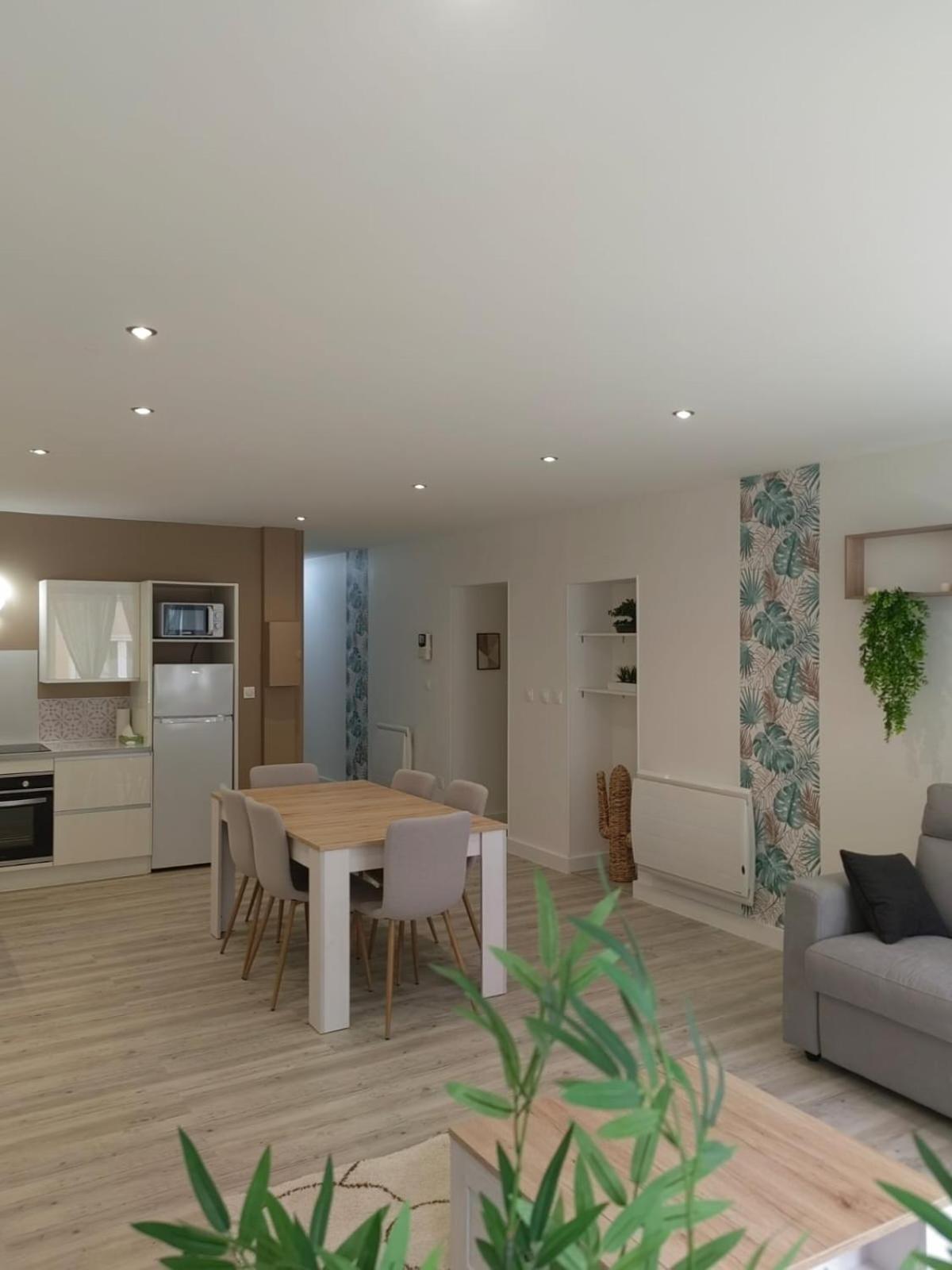 Bel Appartement Bord Du Rhone Валанс Екстериор снимка