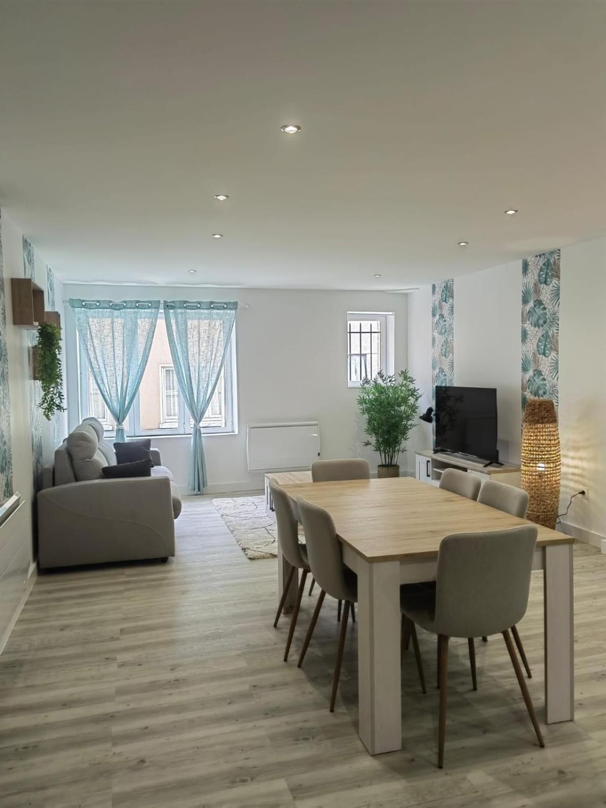 Bel Appartement Bord Du Rhone Валанс Екстериор снимка